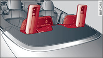 Rear seats: Rollover bars in deployed position